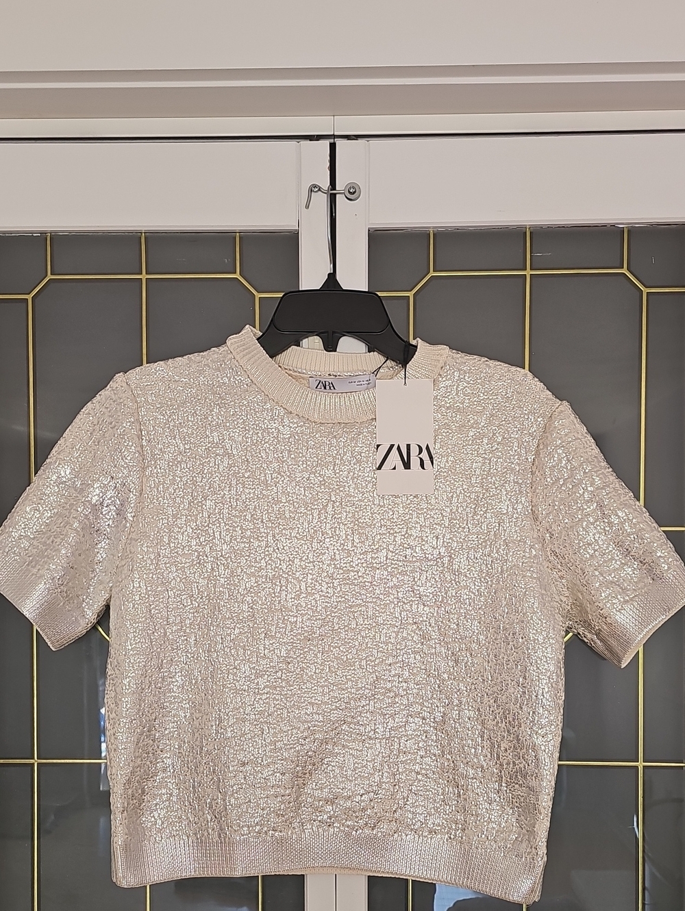 ZARA Metallic Ivory Short-Sleeve Knit Top